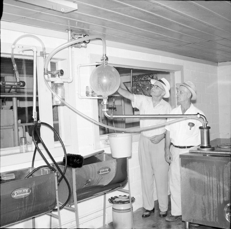 097_milk quality,... (1958).jpg